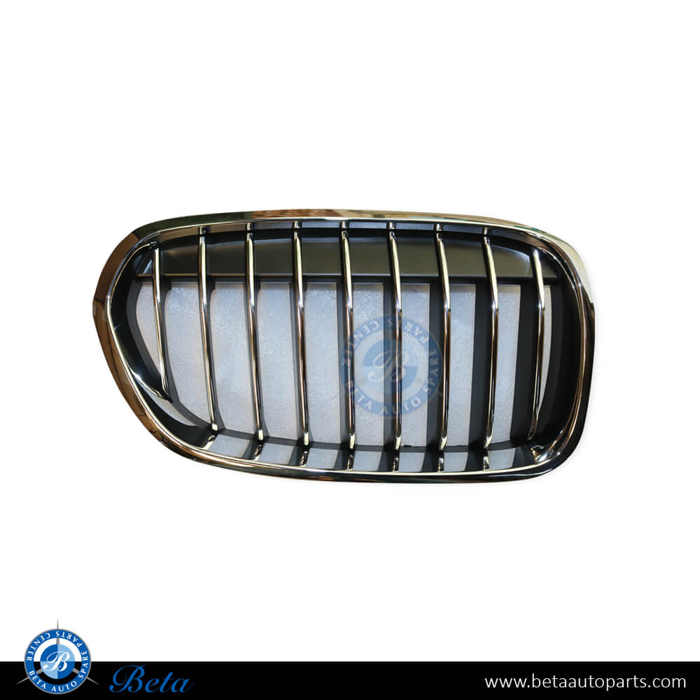 Left Side Radiator Grille Luxury Line for BMW 1 Series F20/F21 LCI 2015-2019 models, Part Number 51137400797 Left Side Radiator Grille Luxury Line for BMW 1 Series F20/F21 LCI 2015-2019 models, Part Number 51137400797